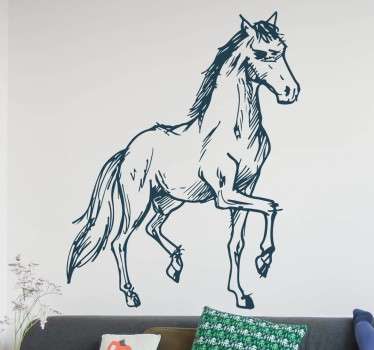 Wall sticker schizzo cavallo