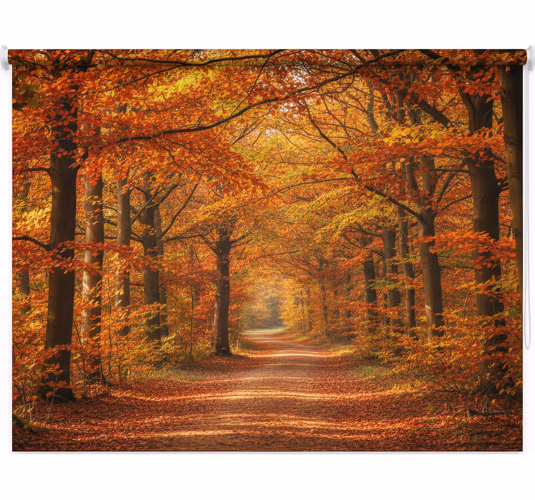 Tenda a rullo alberi sentiero degli alberi d'autunno - TenStickers