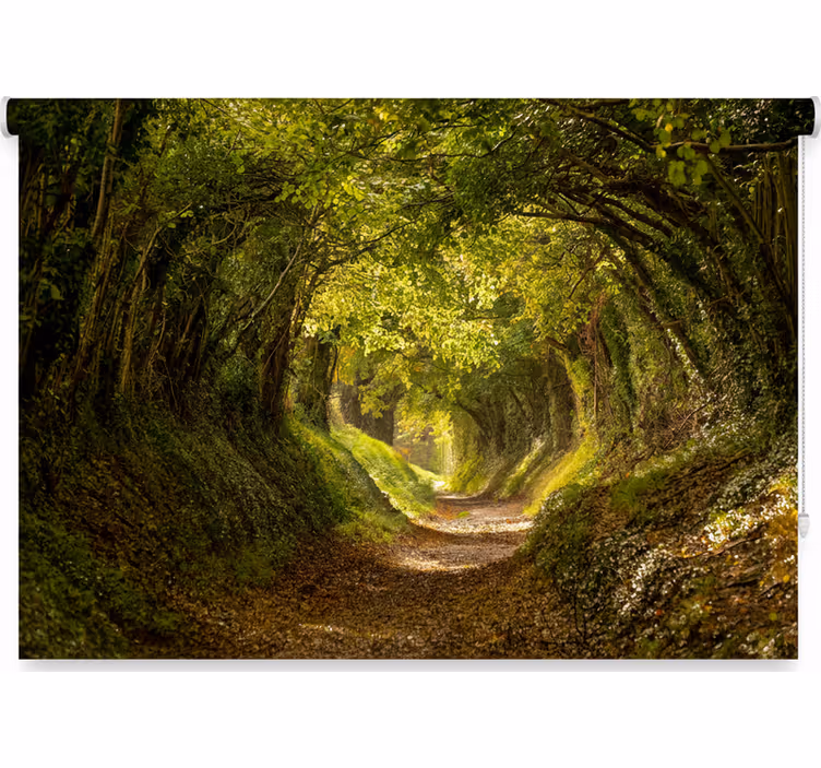 Tenda a rullo alberi murale forestale immersivo - TenStickers