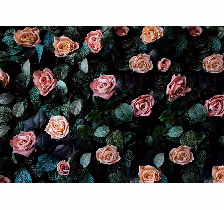 Tenda a rullo cucina rose corallo rosa - TenStickers