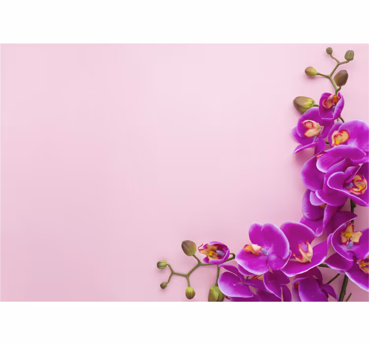 Tenda a rullo cucina sfondo rosa con orchidea - TenStickers
