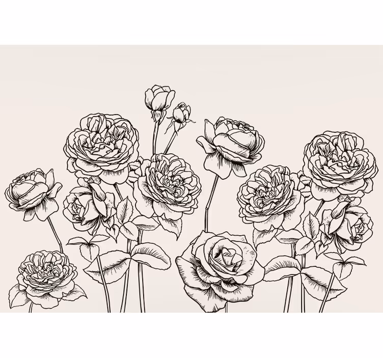 Tenda a rullo cucina rose disegnate a mano bianco e nero - TenStickers