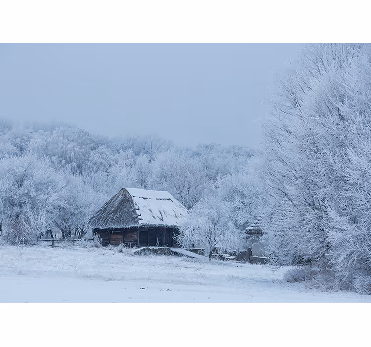 Tenda a rullo bianca per cortile innevato - TenStickers