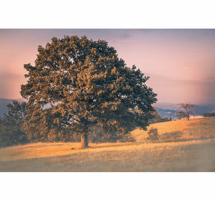 Tenda a rullo soggiorno stile cottagecore albero antico - TenStickers