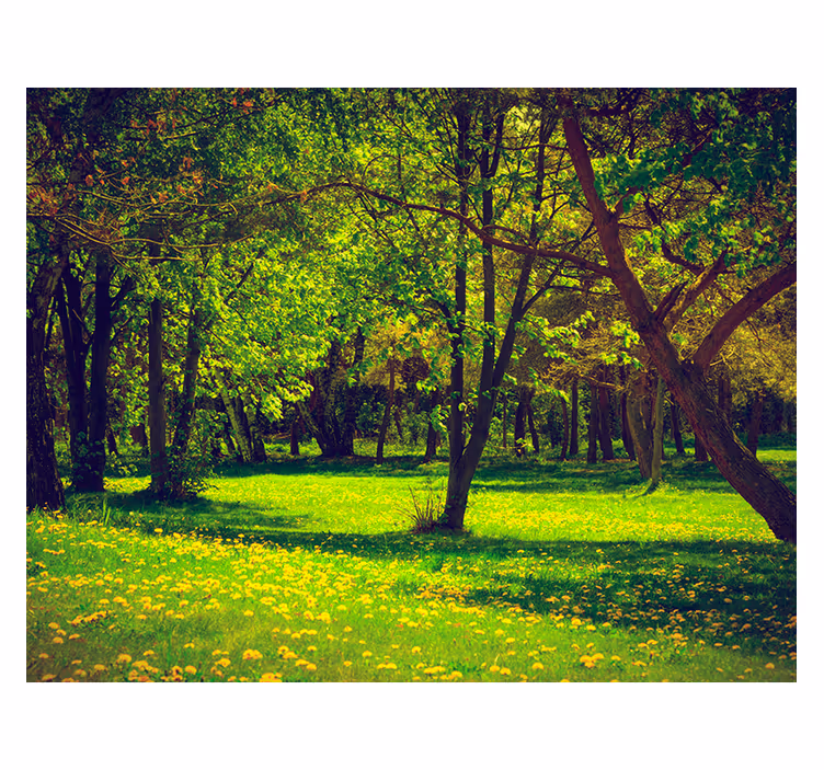 Tenda a rullo verde vista serene della foresta - TenStickers