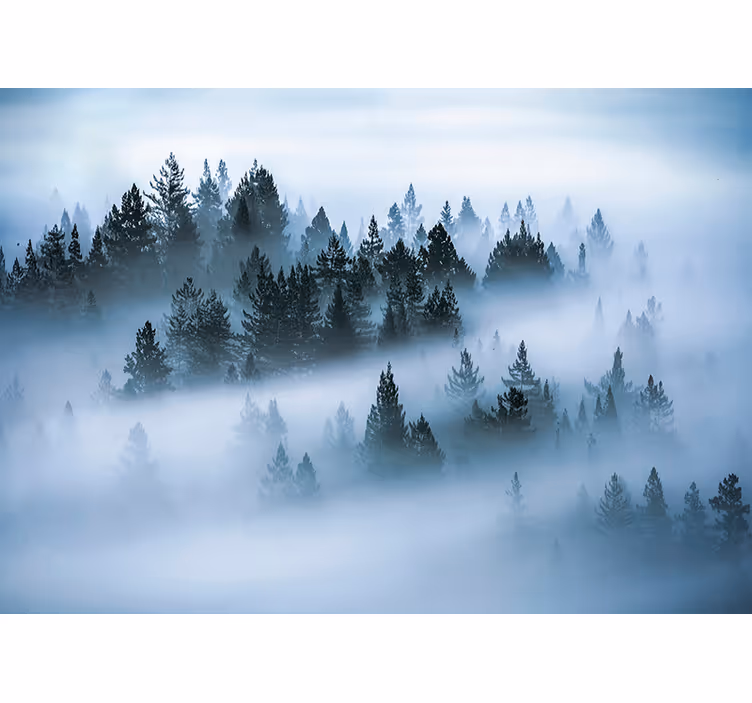 Tenda a rullo soggiorno nebbia del mattino - TenStickers