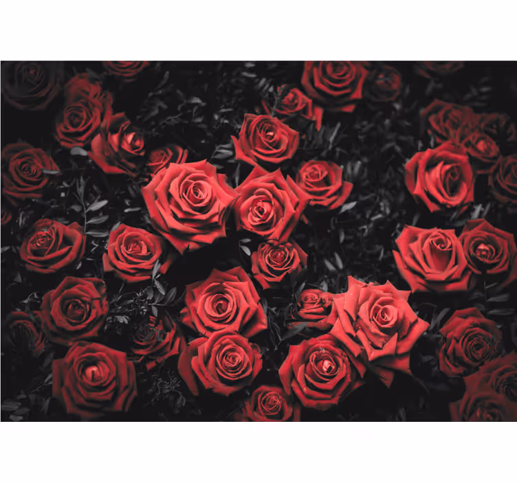 Tenda a rullo soggiorno bianco e nero con rose rosse - TenStickers