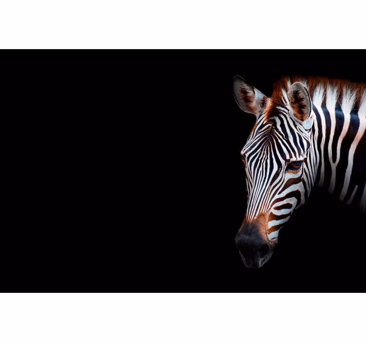 Tenda a rullo soggiorno zebra immagine - TenStickers