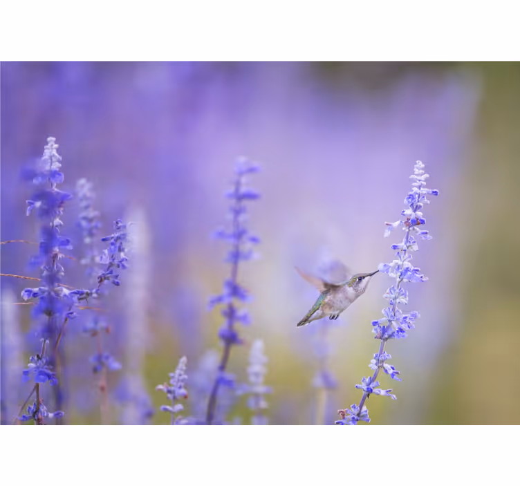 Tenda a rullo soggiorno fiori con uccello - TenStickers