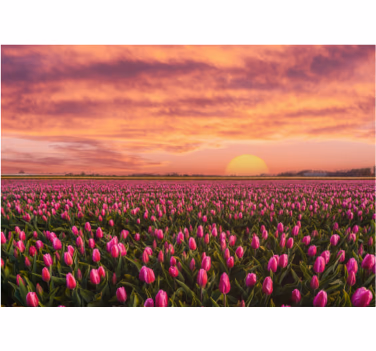 Tenda a rullo soggiorno alba e tulipani - TenStickers
