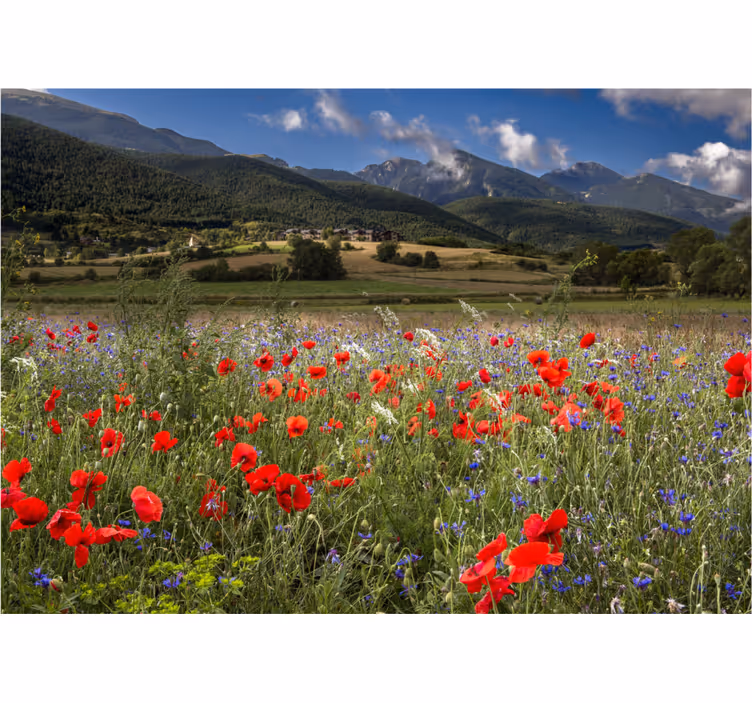 Tenda a rullo soggiorno campo fiorito grazioso - TenStickers