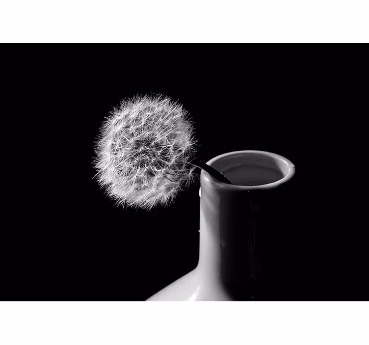 Tenda a rullo soggiorno dente di leone in vaso - TenStickers