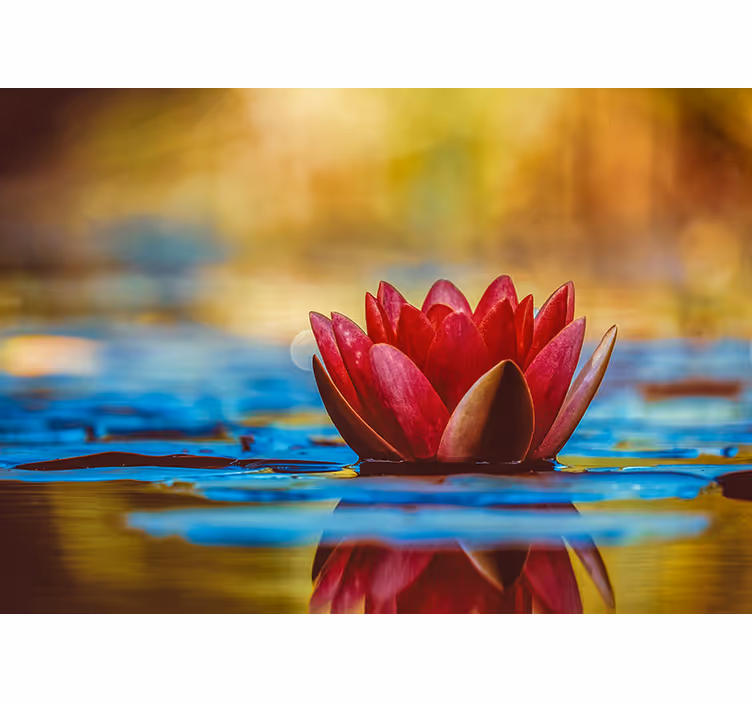 Tenda a rullo soggiorno fiore di loto riflesso zen - TenStickers