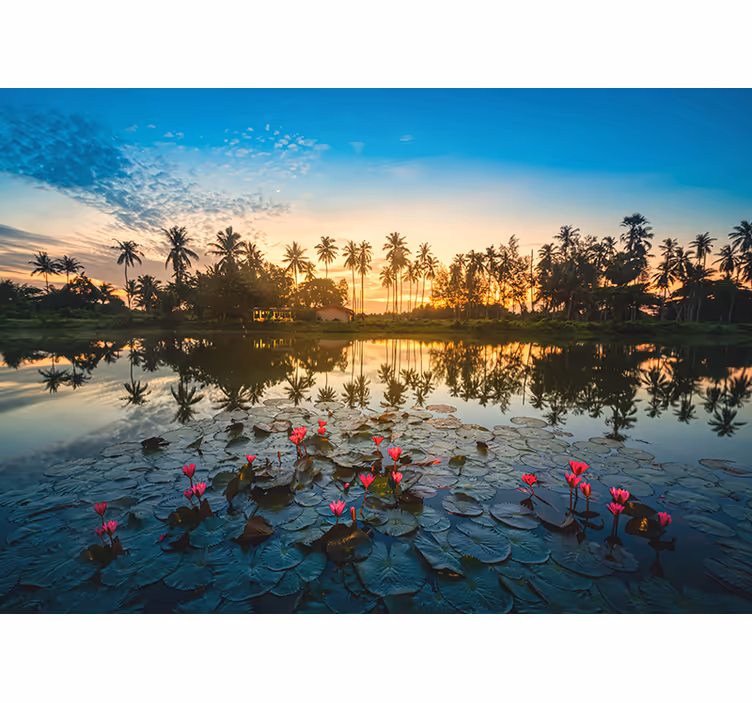 Tenda a rullo soggiorno fiore di loto al tramonto - TenStickers