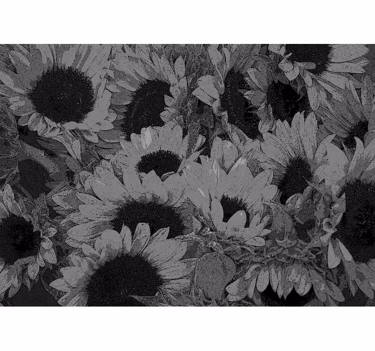 Tenda a rullo soggiorno girasole bianco e nero - TenStickers
