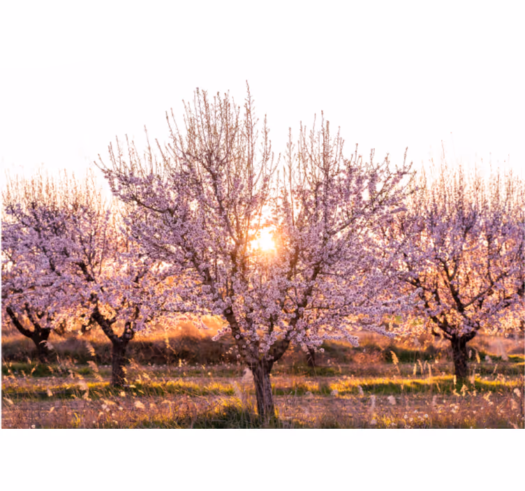 Tenda a rullo soggiorno paesaggio rosa con fiori - TenStickers