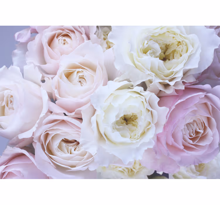 Tenda a rullo soggiorno rose diverse in primo piano - TenStickers
