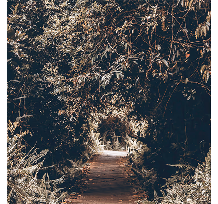Tenda a rullo soggiorno tunnel nella foresta - TenStickers