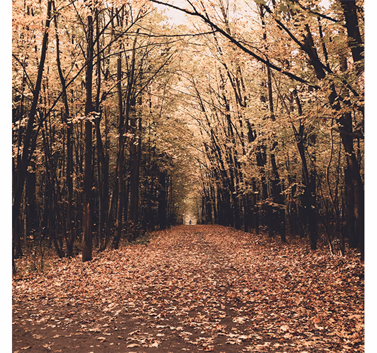Tenda a rullo soggiorno foresta autunnale naturale - TenStickers