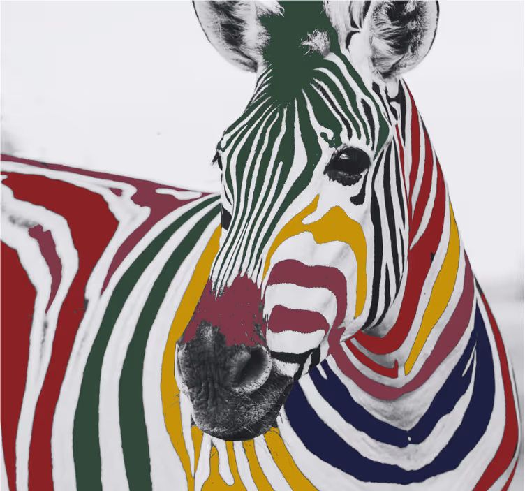 Tenda a rullo soggiorno arte pittura zebra colorata - TenStickers