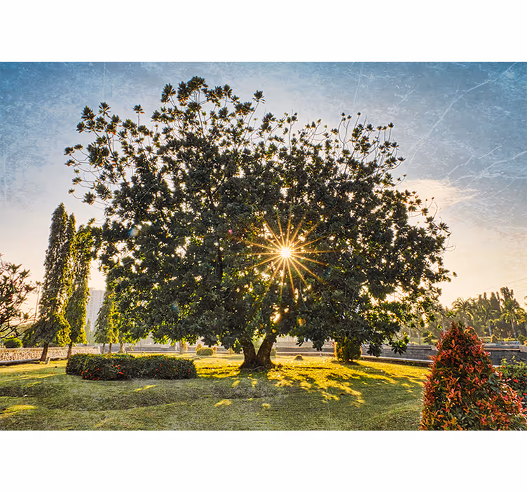 Tenda a rullo soggiorno parco verde estivo soleggiato - TenStickers