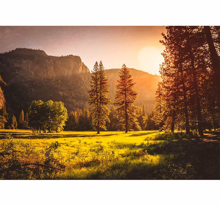 Tenda a rullo soggiorno tramonto dietro gli alberi - TenStickers