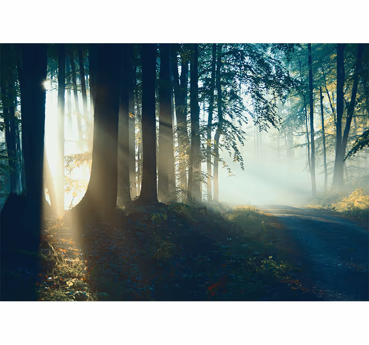 Tenda a rullo soggiorno foresta invernale senza foglie - TenStickers