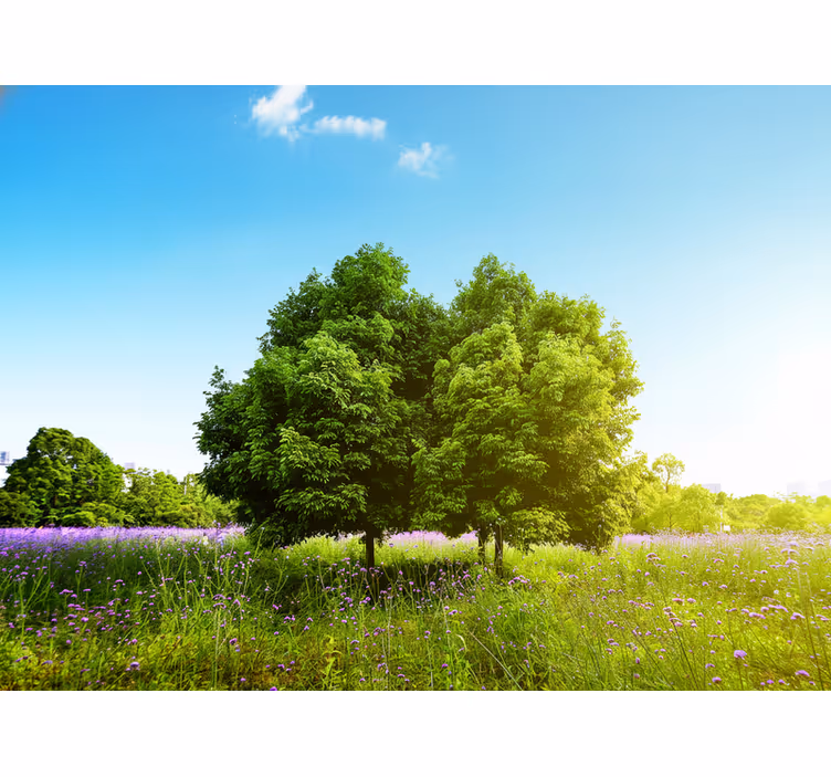 Tenda a rullo soggiorno albero di primavera alto - TenStickers