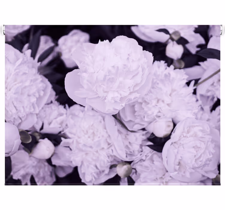 Tenda a rullo soggiorno eleganti peonie rosa - TenStickers