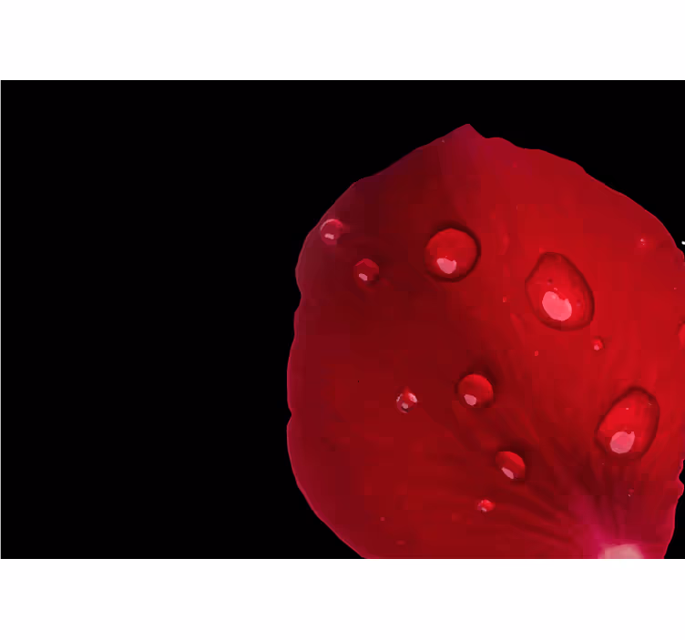 Tenda a rullo camera da letto motivo rose rosse con gocce - TenStickers