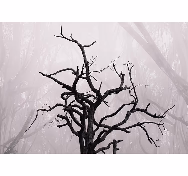 Tenda a rullo camera da letto rami di foresta in nebbia - TenStickers