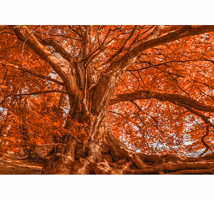 Tenda a rullo camera da letto grande albero autunnale - TenStickers