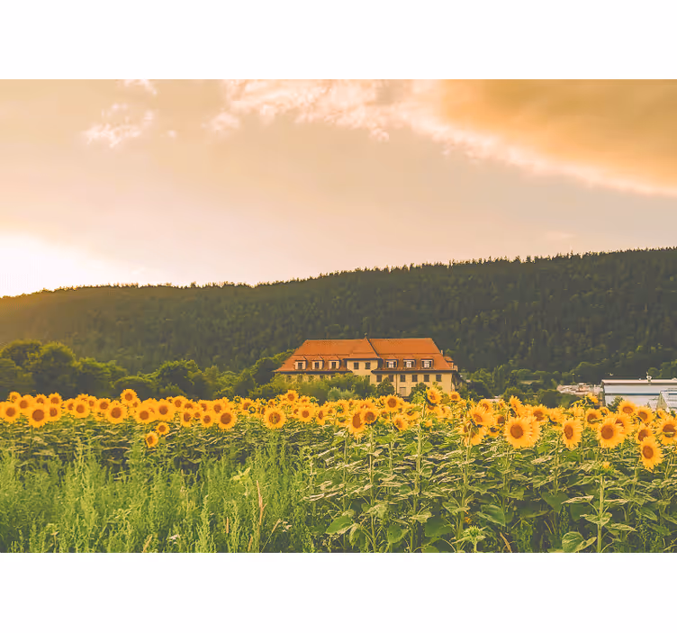 Tenda a rullo camera da letto campo fiorito giallo - TenStickers