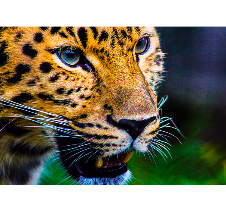 Tenda a rullo camera da letto volto di leopardo - TenStickers