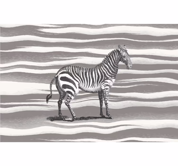 Tenda a rullo grigia illustrazione zebra vintage - TenStickers