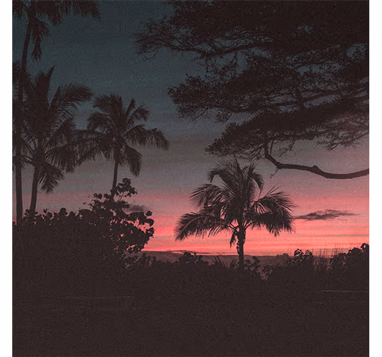 Tenda a rullo soggiorno alberi cielo rosa tramonto - TenStickers