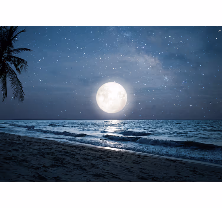 Tenda a rullo camera da letto luce della luna sul mare - TenStickers