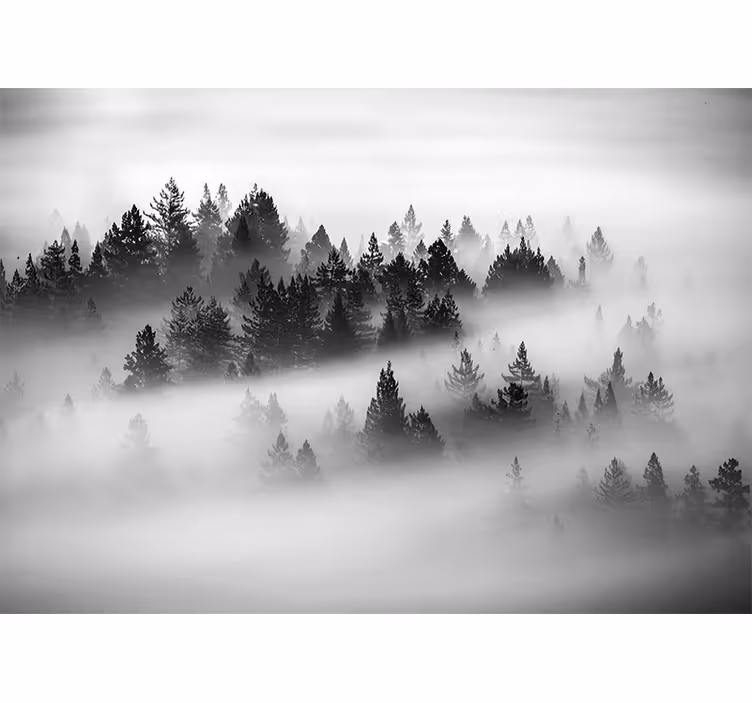 Tenda a rullo camera da letto foresta incantata - TenStickers