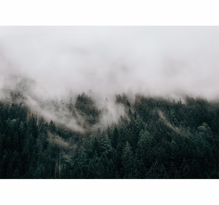 Tenda a rullo camera da letto nuvole nebbiose forestali - TenStickers