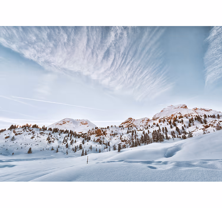Tenda a rullo bianca montagne innevate - TenStickers