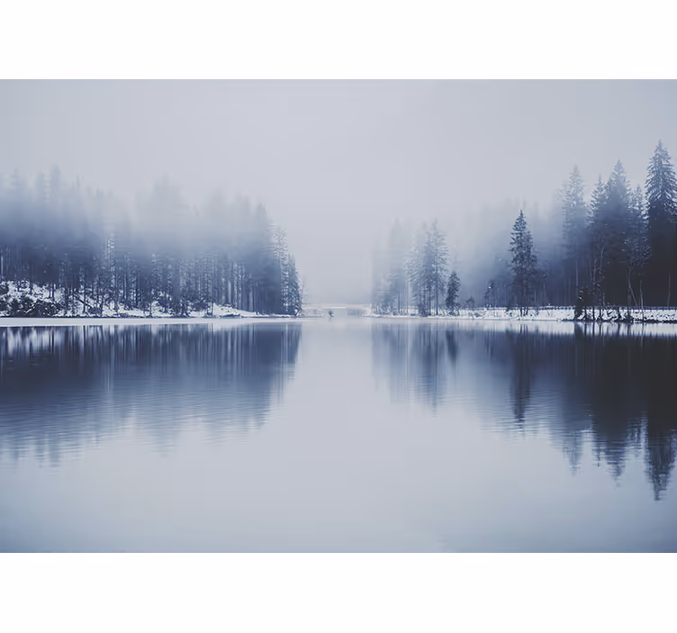 Tenda a rullo bianca foresta nebbiosa invernale - TenStickers
