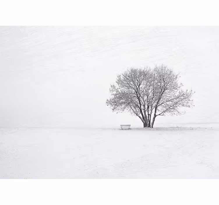 Tenda a rullo bianca design alberi di neve invernale - TenStickers