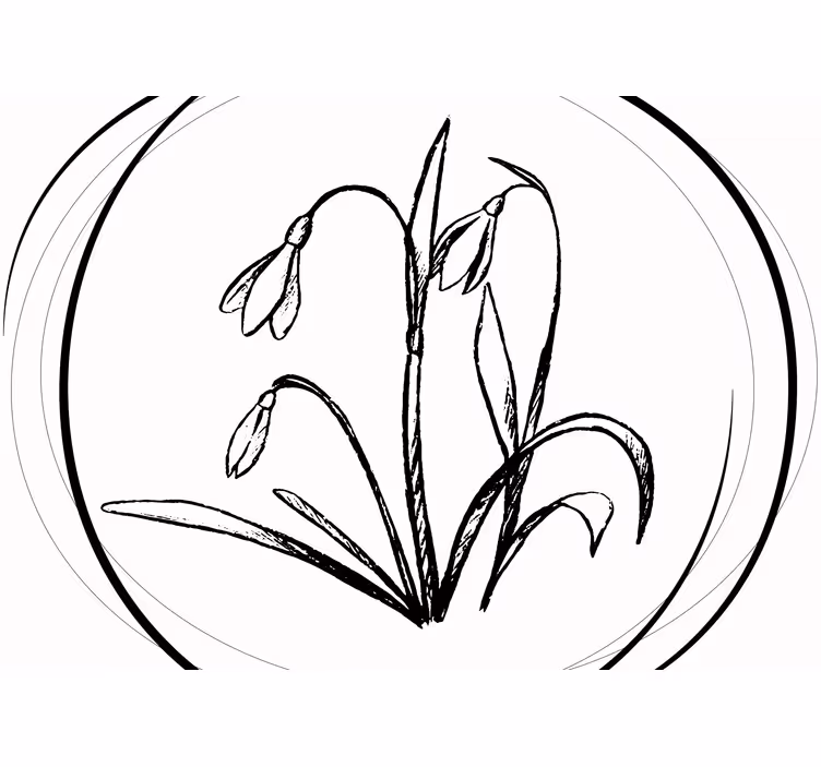 Tenda a rullo bianca cerchio con disegno di galanthus - TenStickers