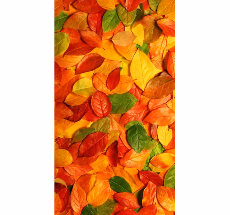 Tenda a rullo cucina foglie autunnali decorativa - TenStickers