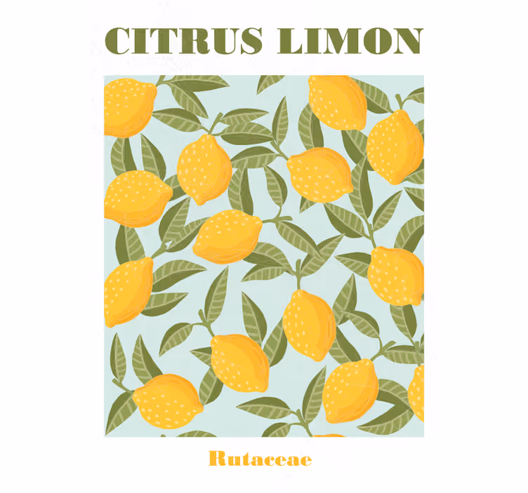 Tenda a rullo cucina limone - TenStickers