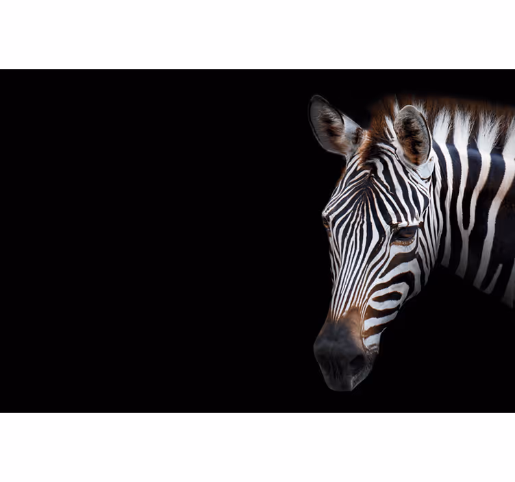 Tenda a rullo nera zebra picture - TenStickers
