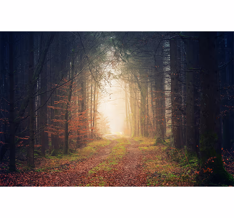 Tenda a rullo soggiorno strada d'autunno - TenStickers