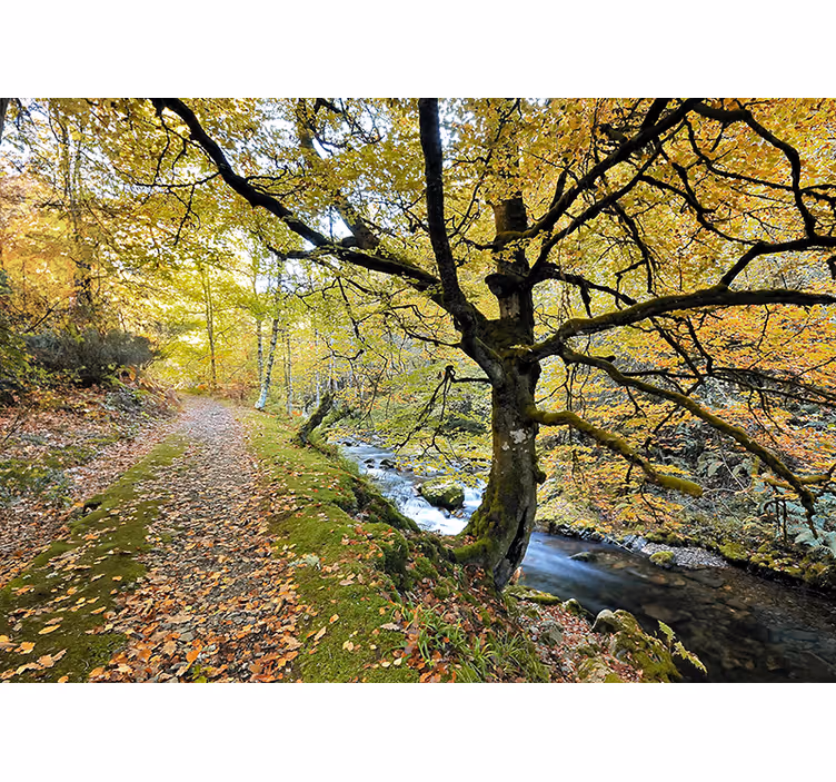 Tenda a rullo soggiorno bosco di muniellos e fiume - TenStickers