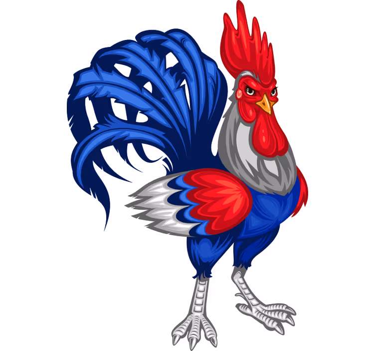 Tenda a rullo camera ragazzi gallo francese decorativo - TenStickers