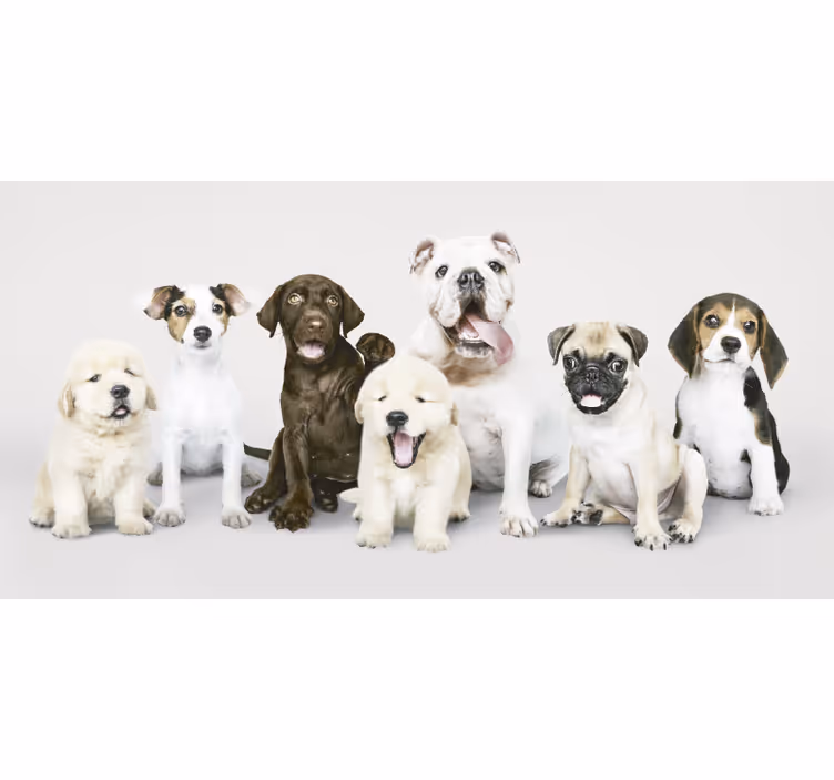Tenda a rullo animali fotografia cuccioli di cane - TenStickers